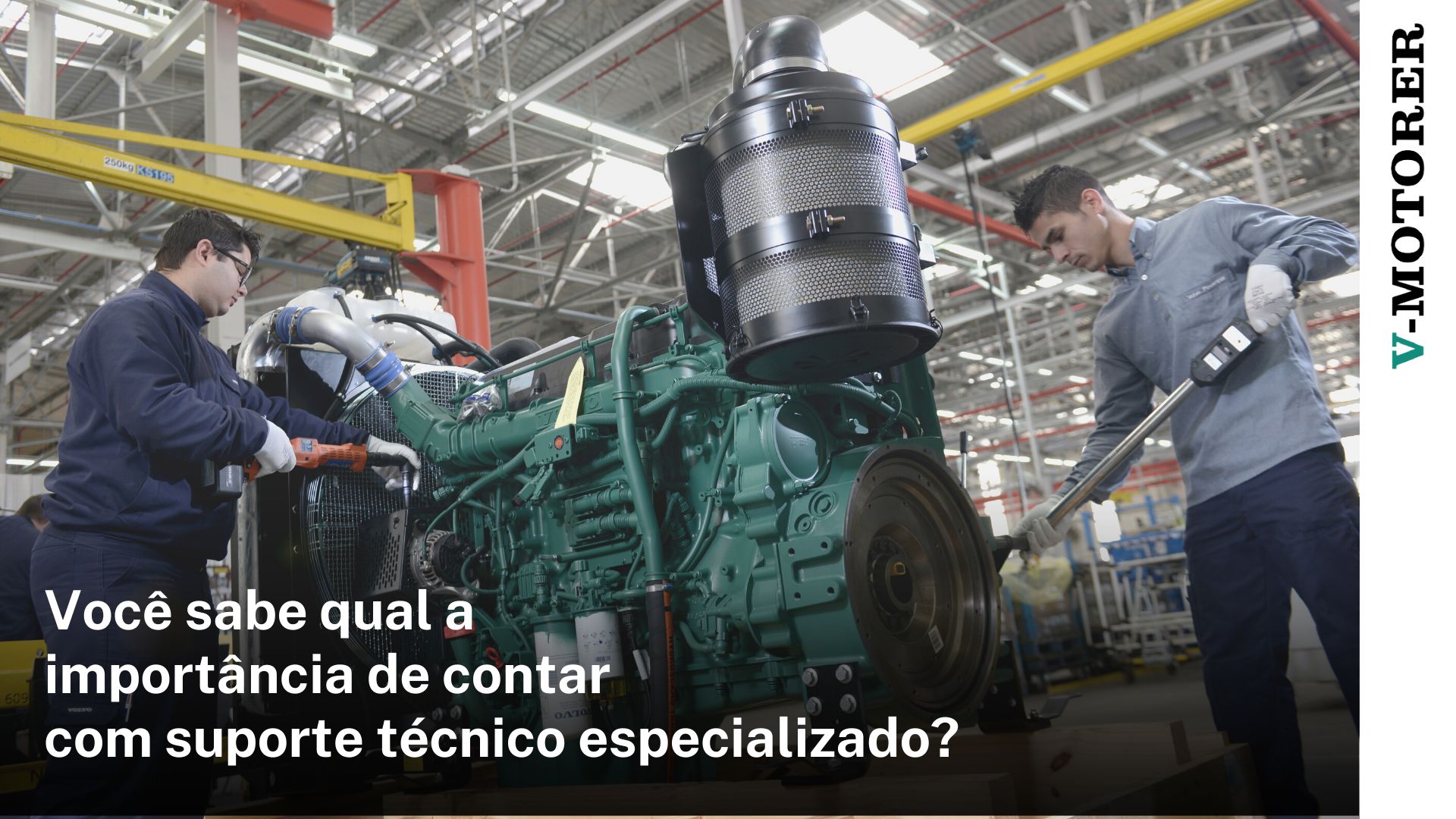 Você sabe qual a importância de contar com suporte técnico especializado?